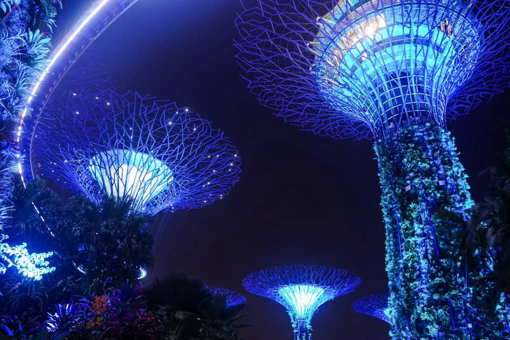 樹木亮化設(shè)計(jì)1.jpeg 樹木亮化設(shè)計(jì)1.jpeg