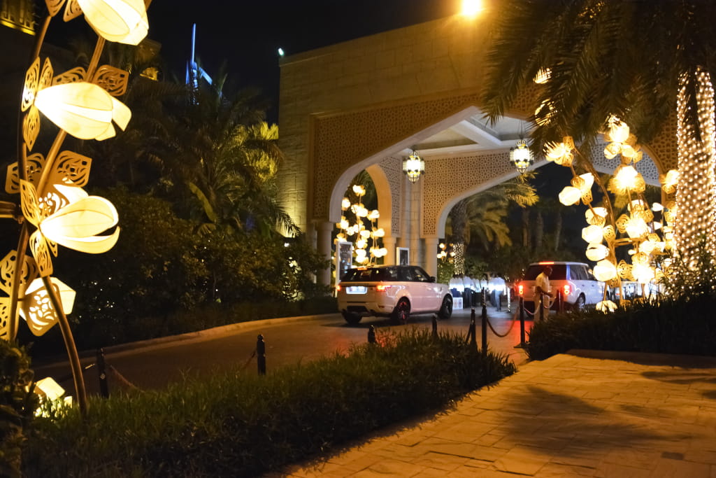 樹木亮化設(shè)計(jì)4.jpeg 樹木亮化設(shè)計(jì)4.jpeg